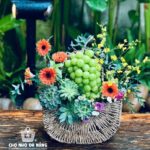 Giỏ Hoa Trái Cây dịp chúc mừng 014