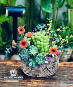 Giỏ Hoa Trái Cây dịp chúc mừng 014