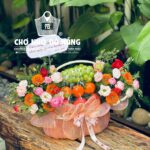 Giỏ Hoa Trái Cây cơ bản 005
